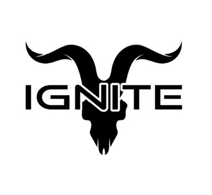 ULTIMAS UNIDADES | IGNITE V80 8.000 PUFS